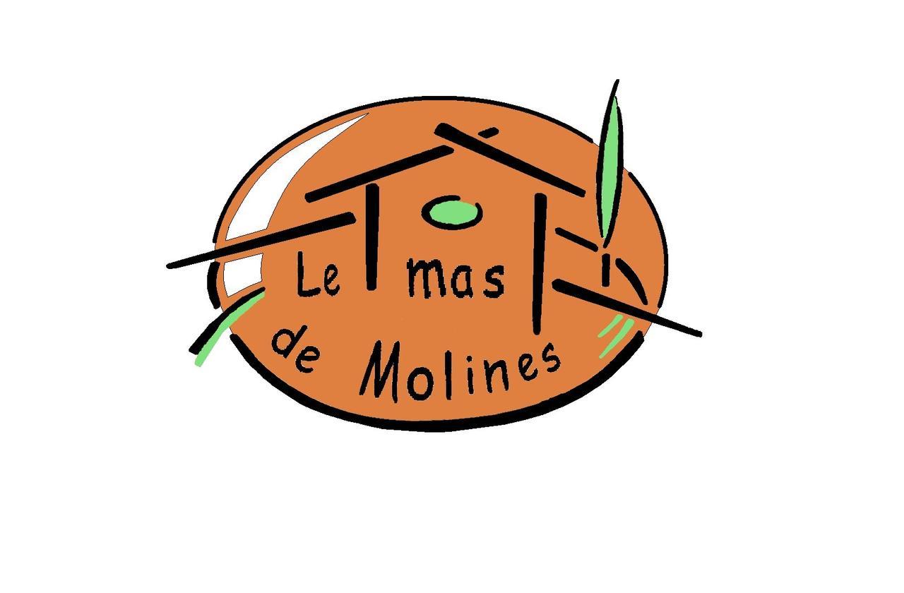 Gite Le Mas De Molines ヴォギュエ エクステリア 写真